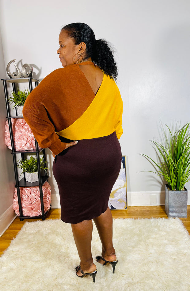 A Color Block Sweater Dress - EvrySeason